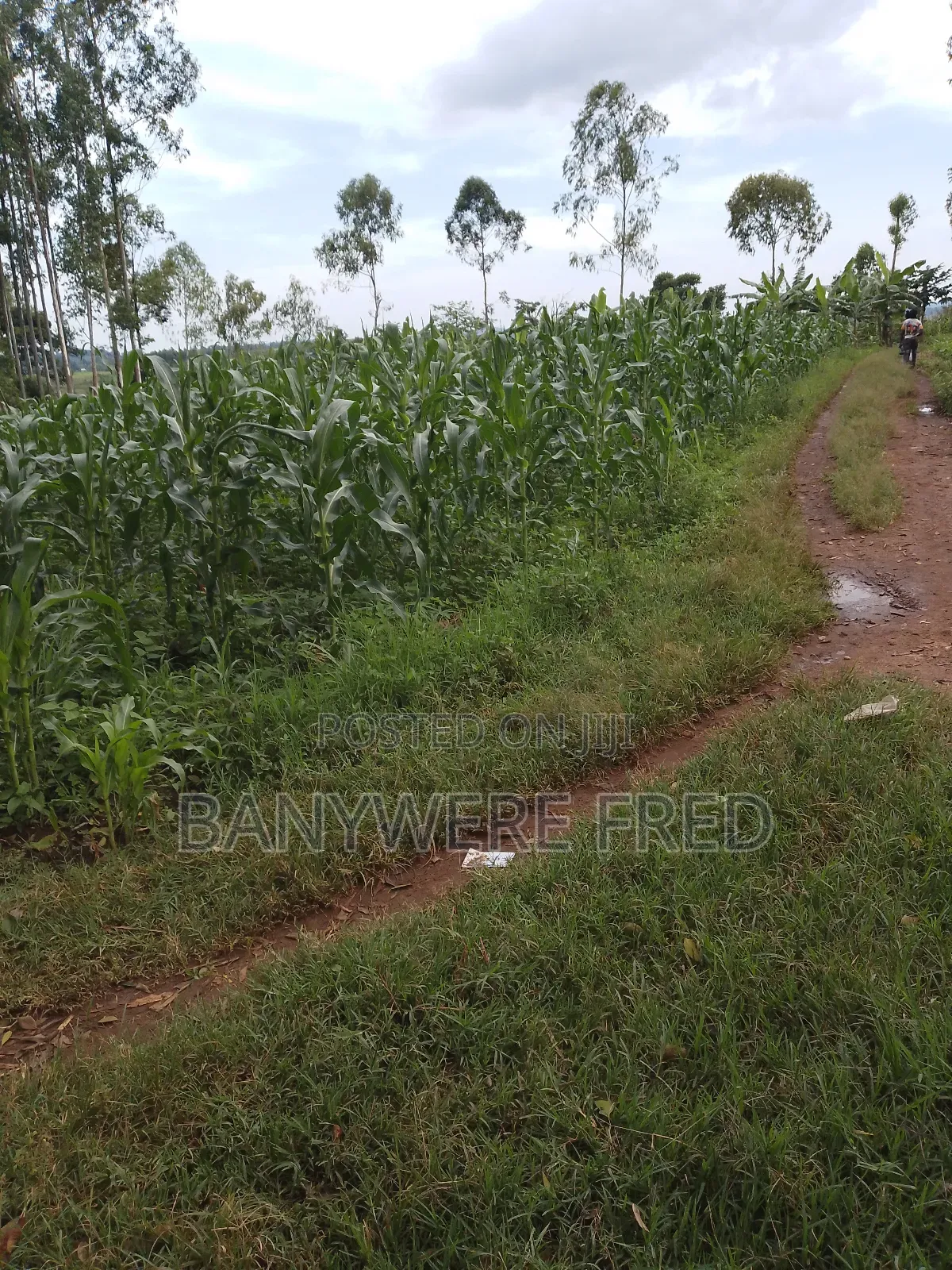 4 Acres for Sale in Namave Industrial Park in Mukono TC