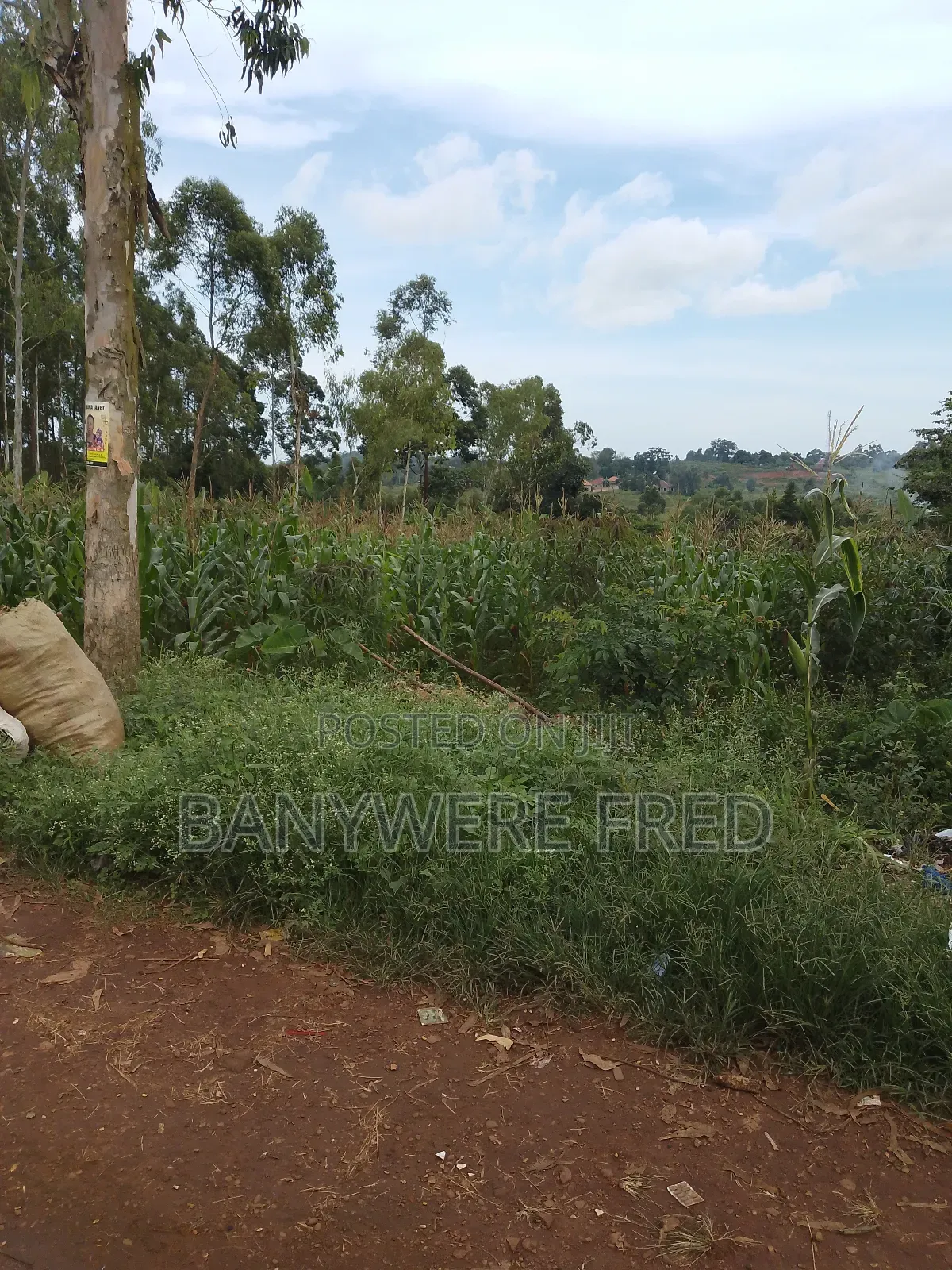 5 Acres on Sale in Namilyago Mukono in Mukono TC