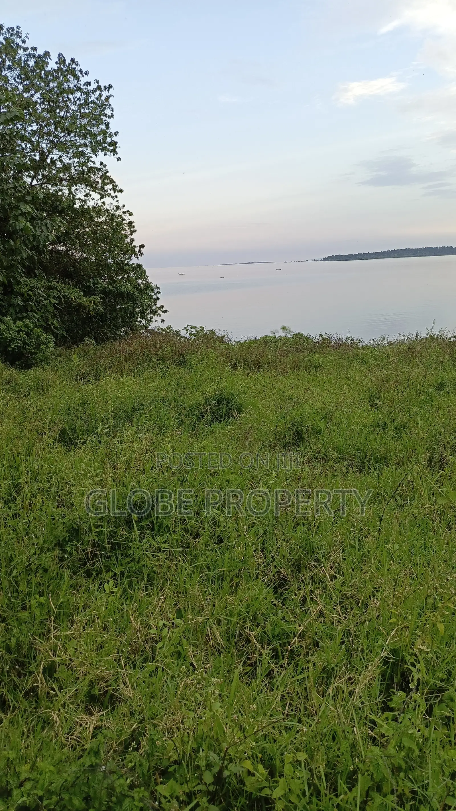 42 Acres of Farm Land for Sale Touching River Nile in Bbaale