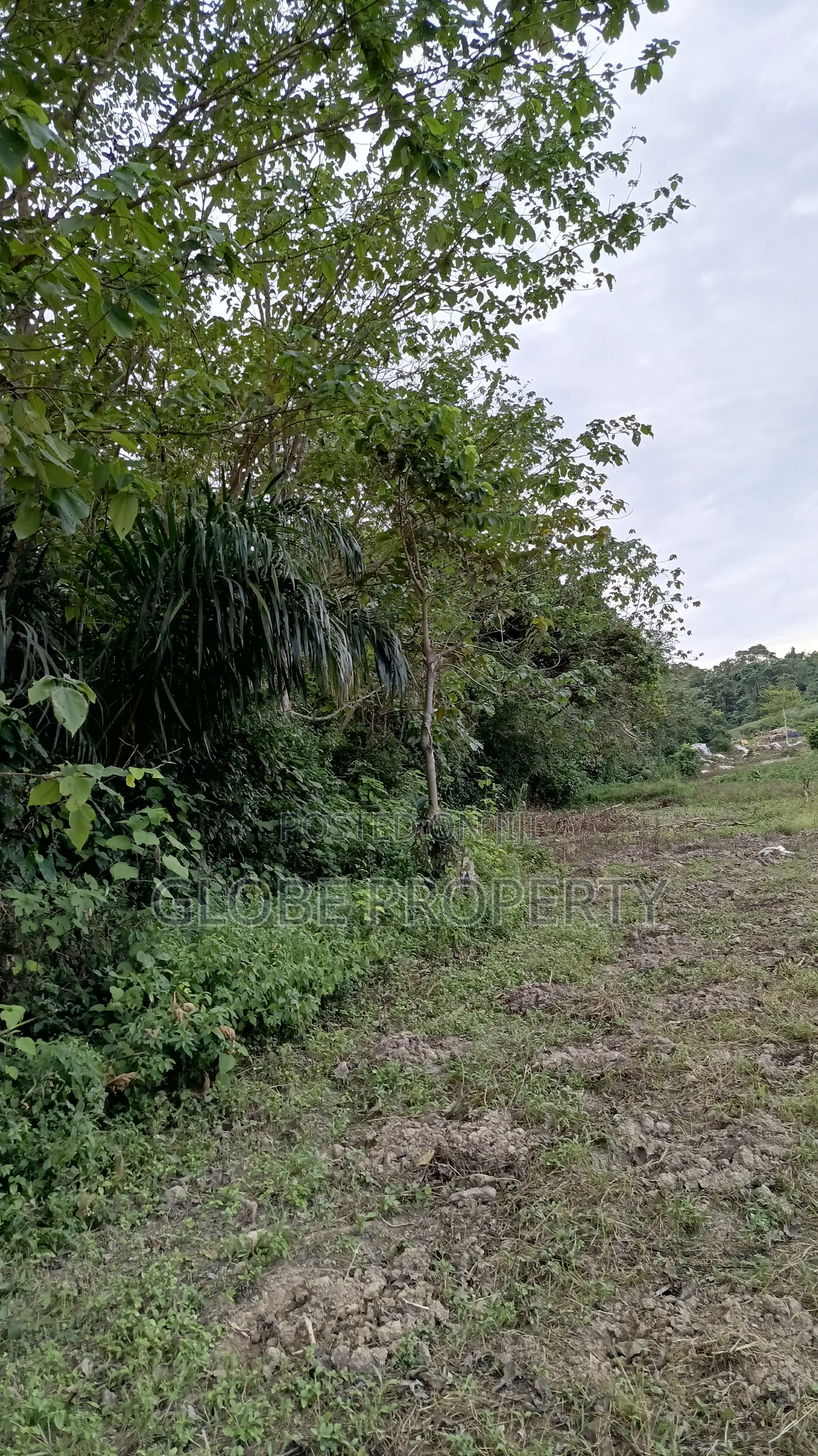 42 Acres of Farm Land for Sale Touching River Nile in Bbaale