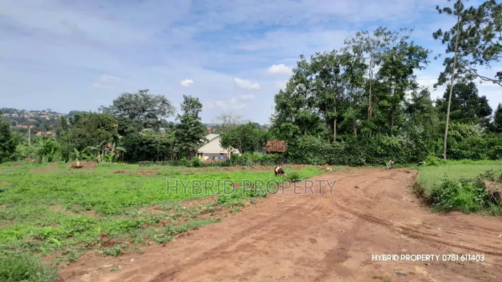 Prime Plots for Sale at Wakiso~Sala Sweetilicious Estate~Hoima Road. in Wakiso / Wakiso