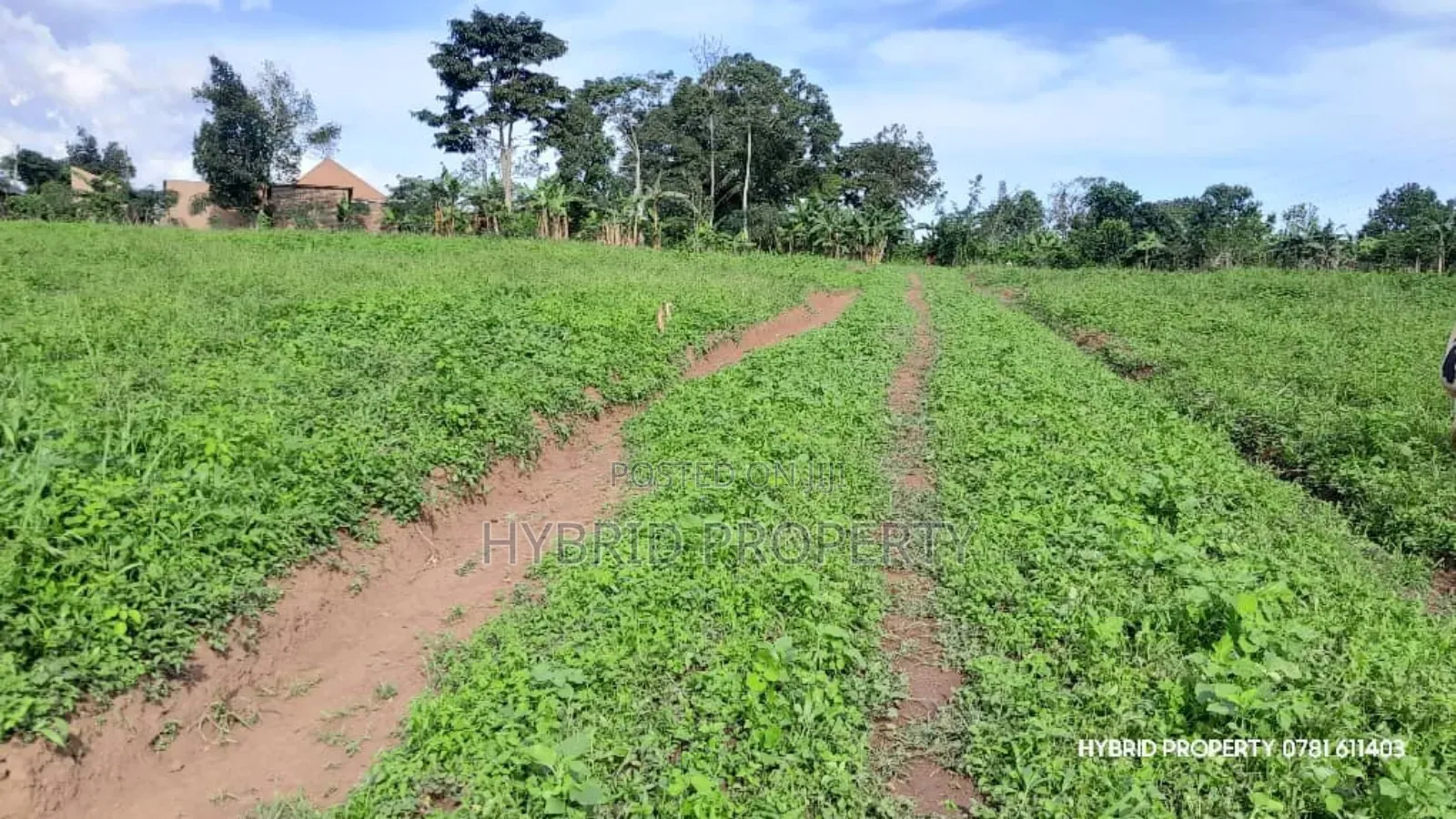 Prime Plots for Sale at Mpigi~Kalagala Elite Land Estate~Masaka Road. in Mpigi TC