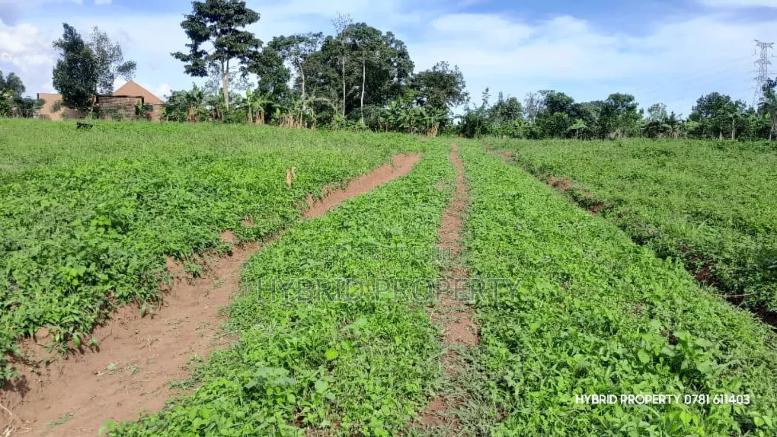 Prime Plots for Sale at Mpigi~Kalagala Elite Land Estate~Masaka Road. in Mpigi TC