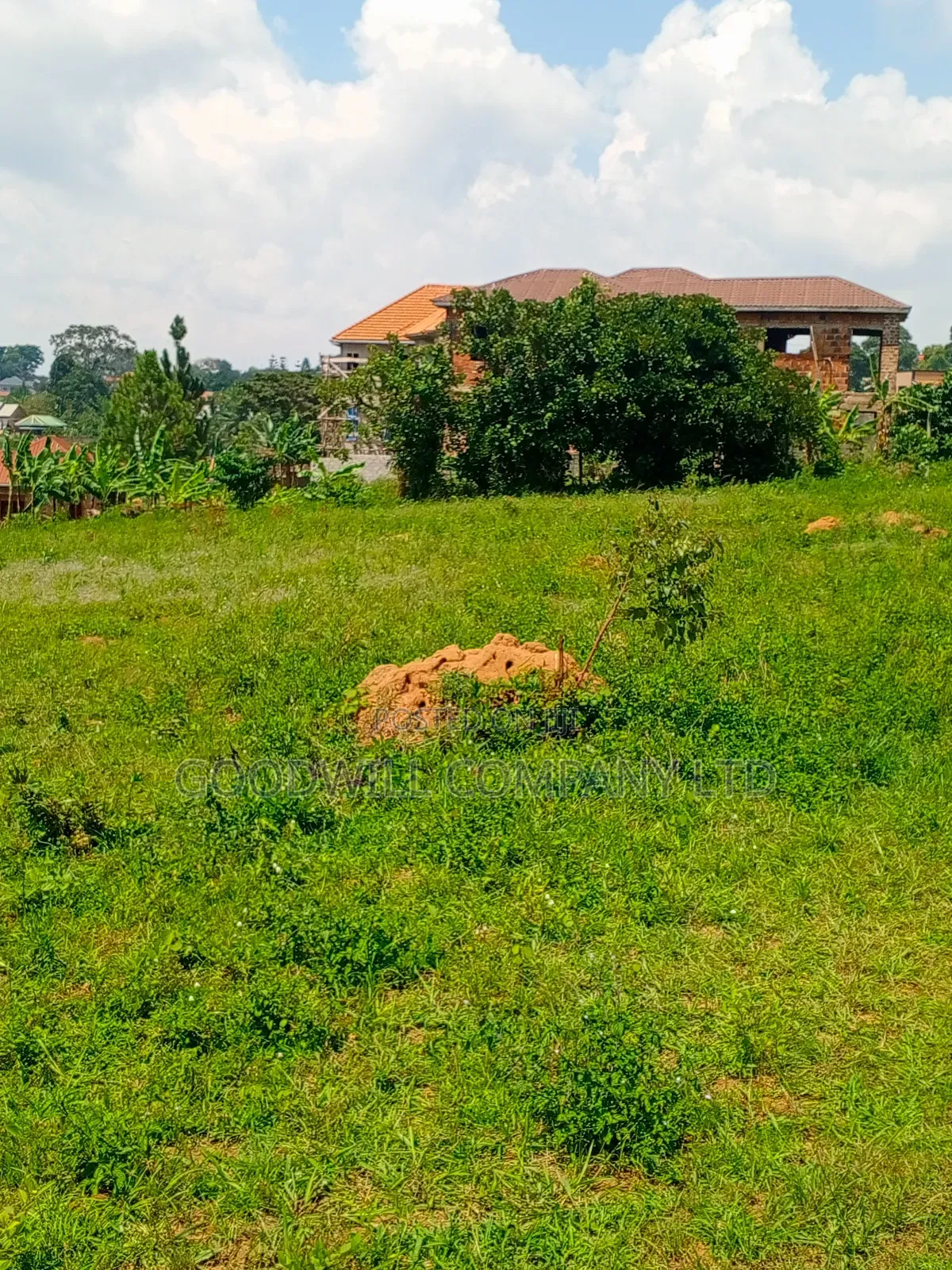 Lake Victoria View 2 Acres of Land in Bulega Garuga in Central Division