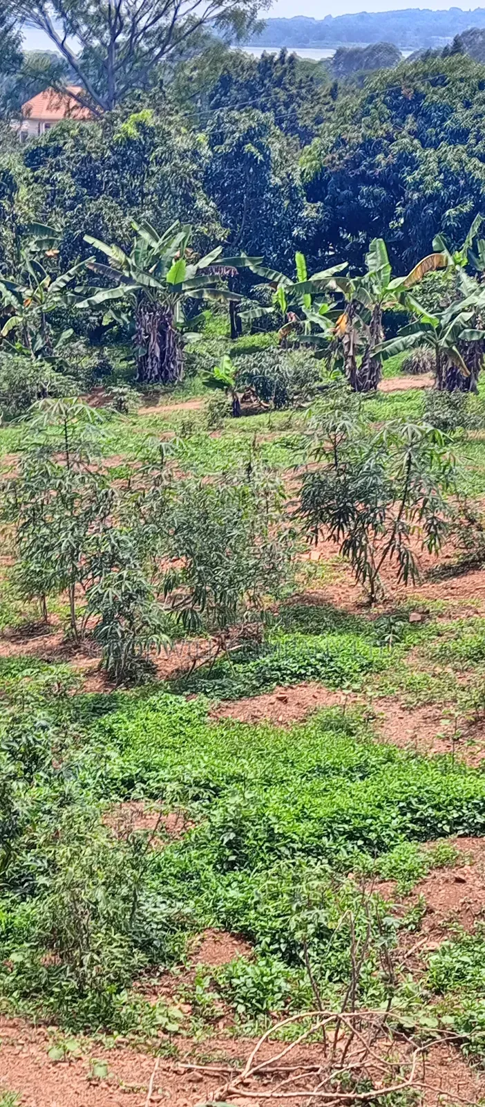 3 Acres of Land Entebbe Road in Garuga Bulega in Central Division