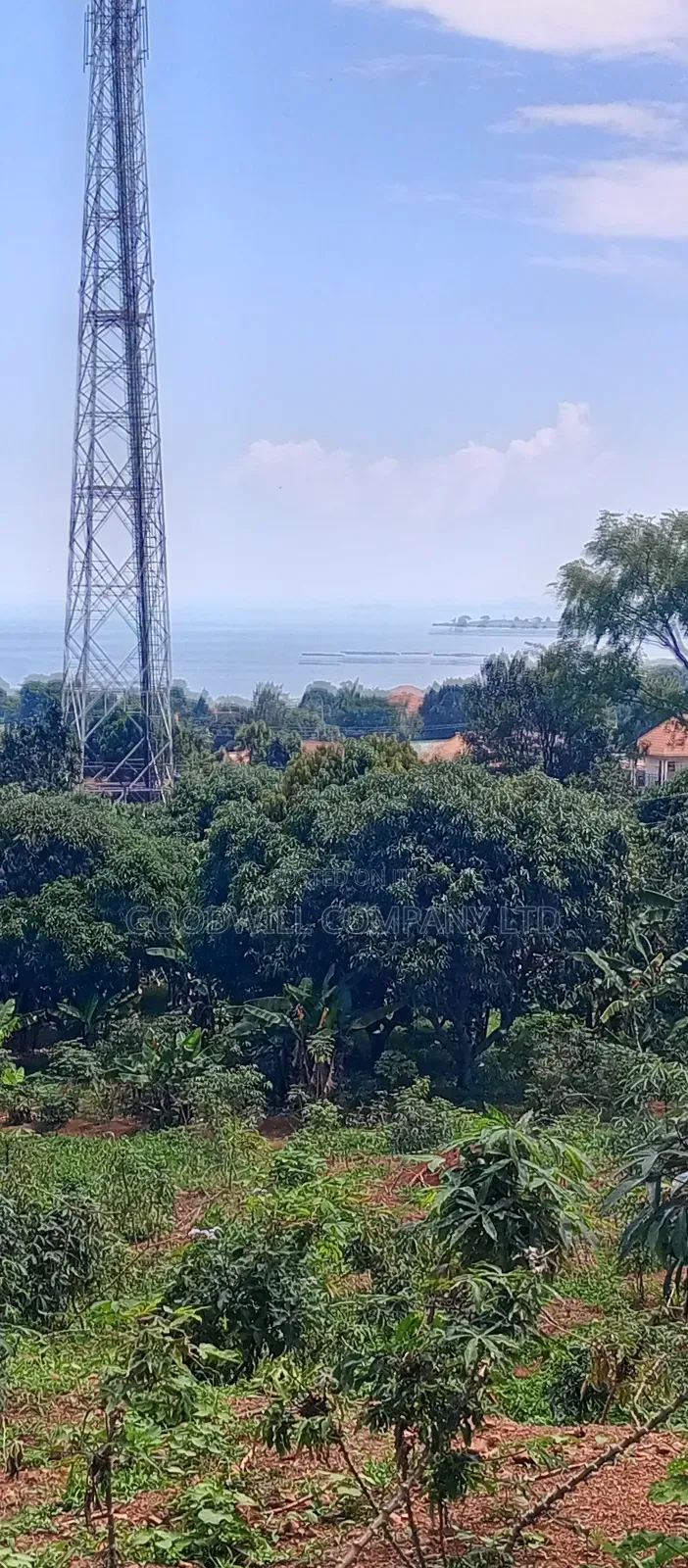 3 Acres of Land Entebbe Road in Garuga Bulega in Central Division