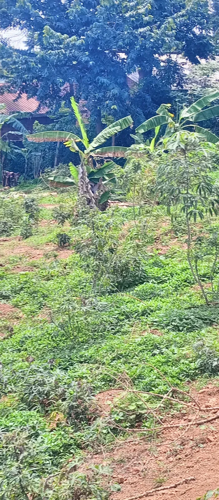 3 Acres of Land Entebbe Road in Garuga Bulega in Central Division