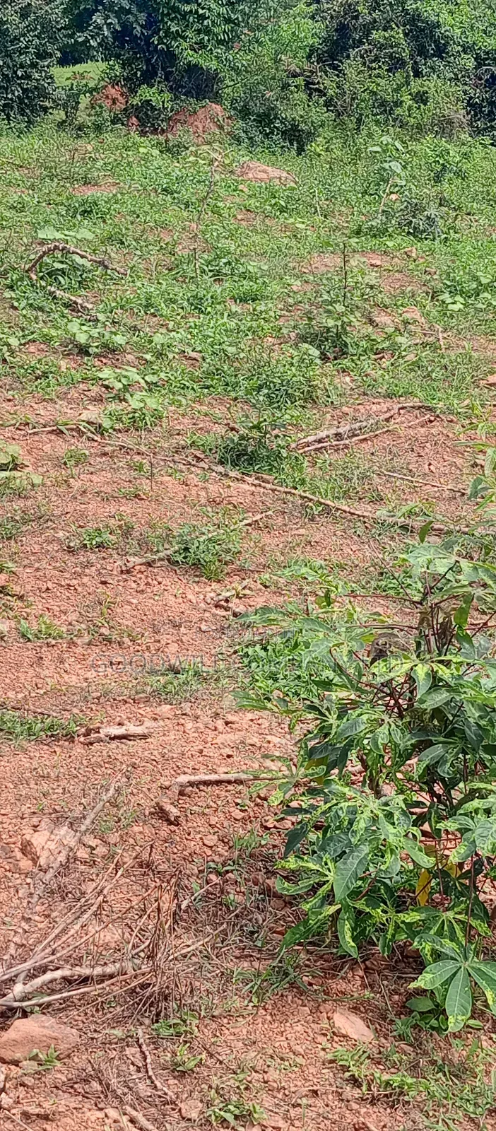 3 Acres of Land Entebbe Road in Garuga Bulega in Central Division