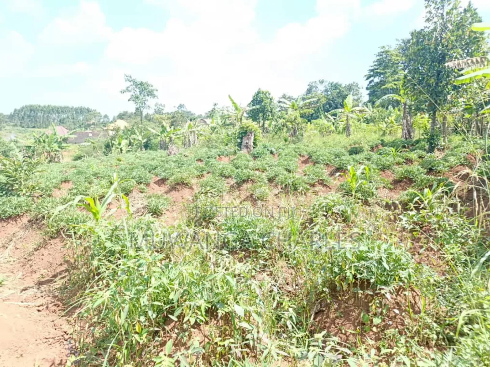 Plots on Sale in Matugga Kavule in Gombe