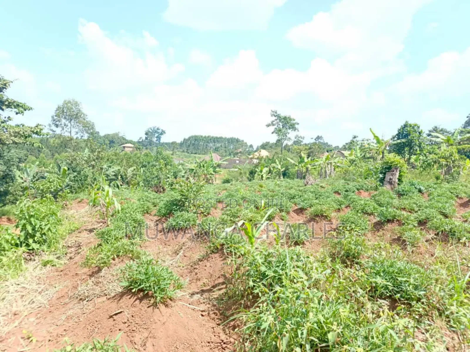 Plots on Sale in Matugga Kavule in Gombe