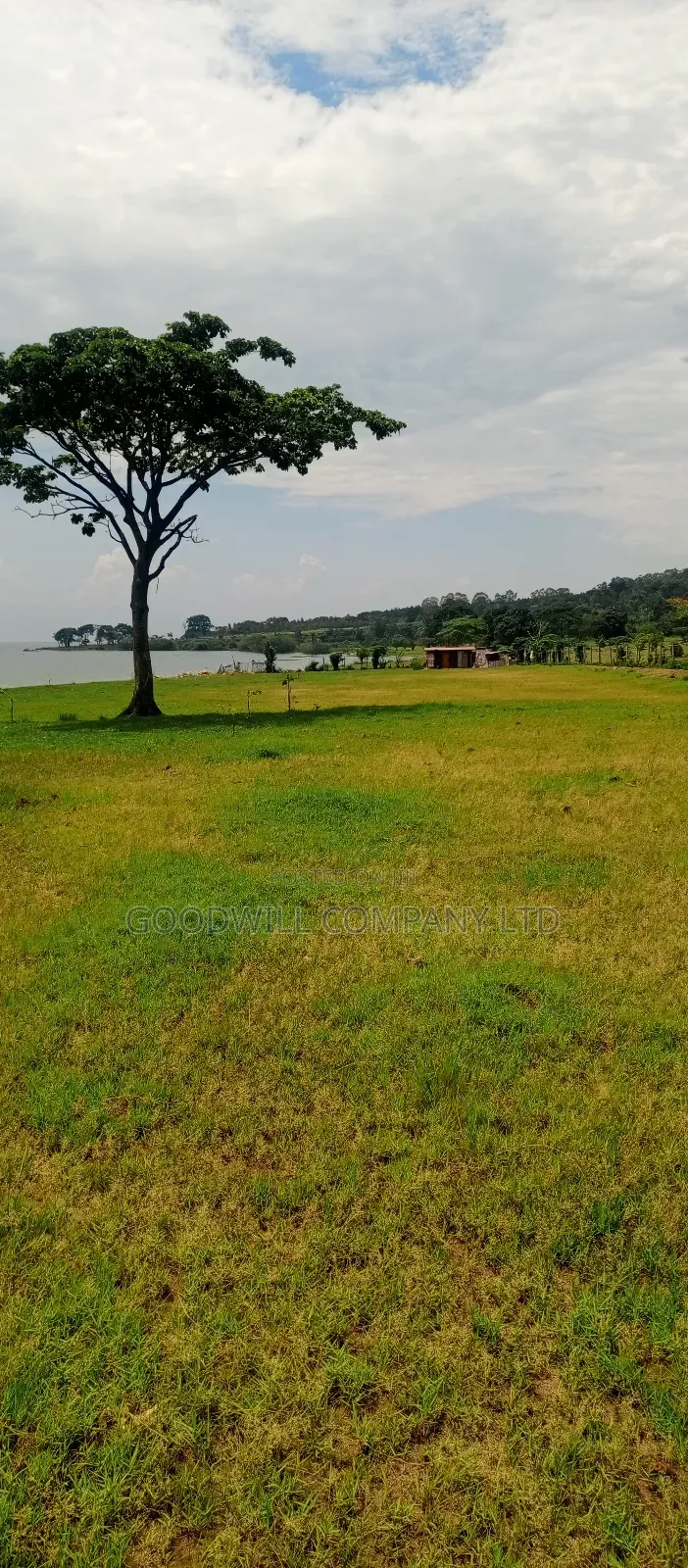 7 Acres of Beach Land in Pearl Marina Garuga in Central Division