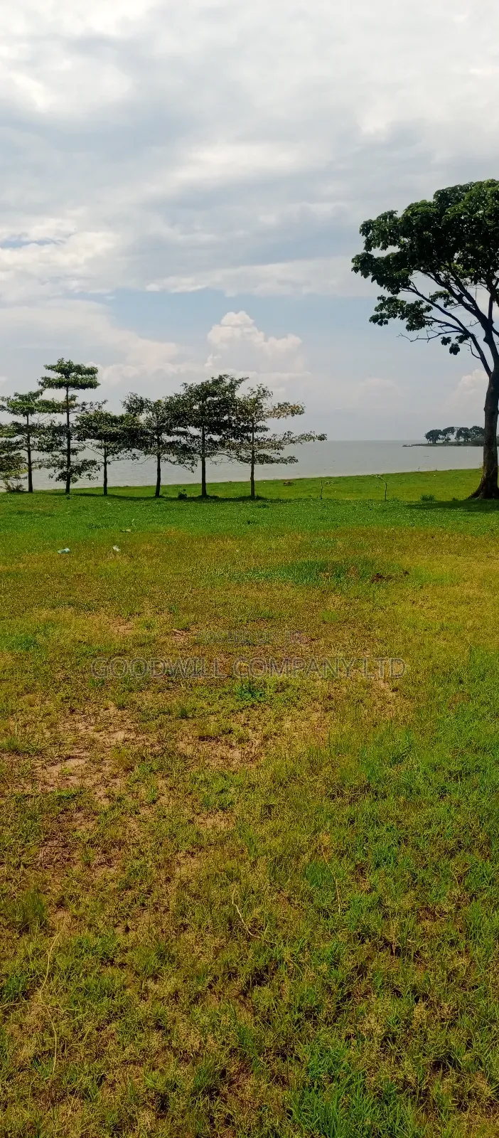 7 Acres of Beach Land in Pearl Marina Garuga in Central Division