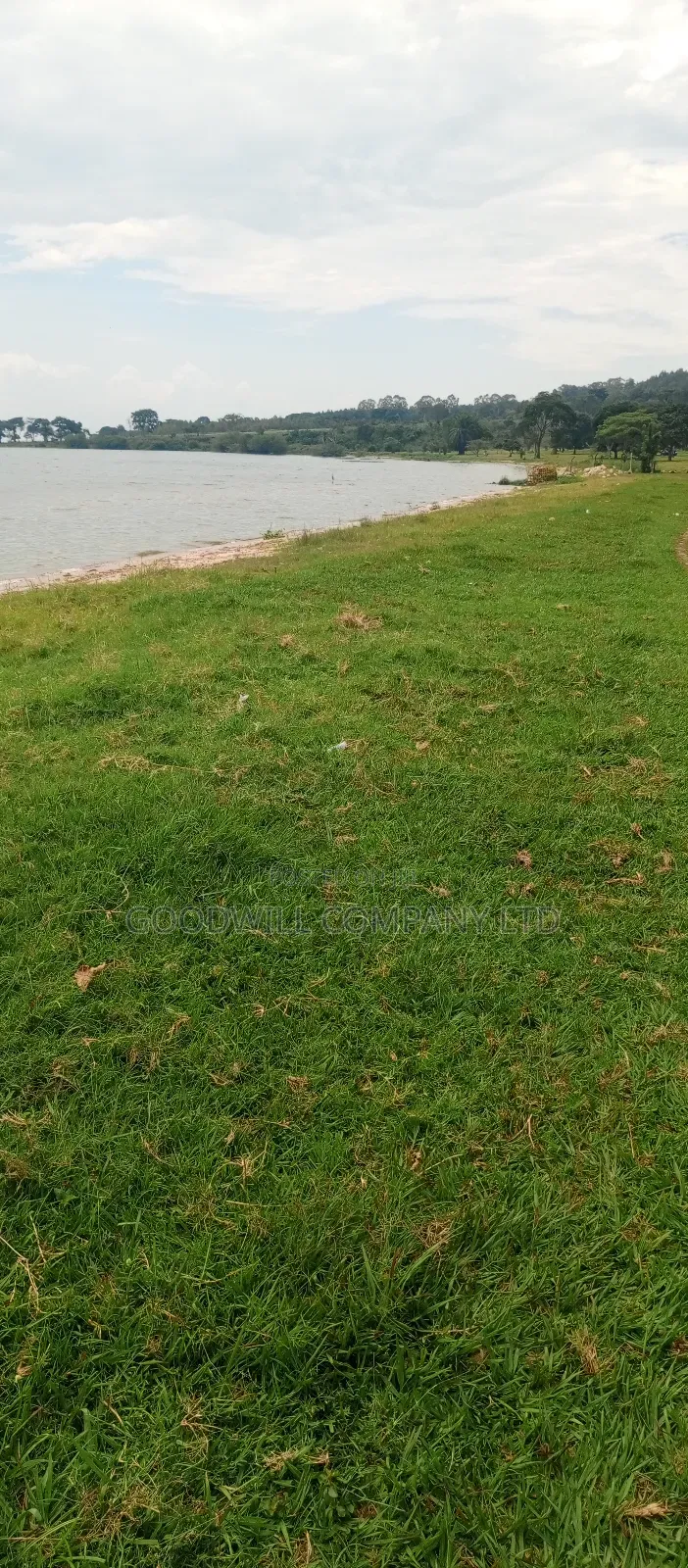 4 Acres Of Land In Garuga Touching Lake Victoria With Pure White Sand in Central Division