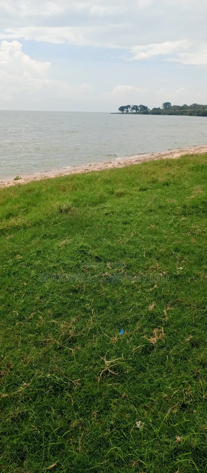 4 Acres Of Land In Garuga Touching Lake Victoria With Pure White Sand in Central Division