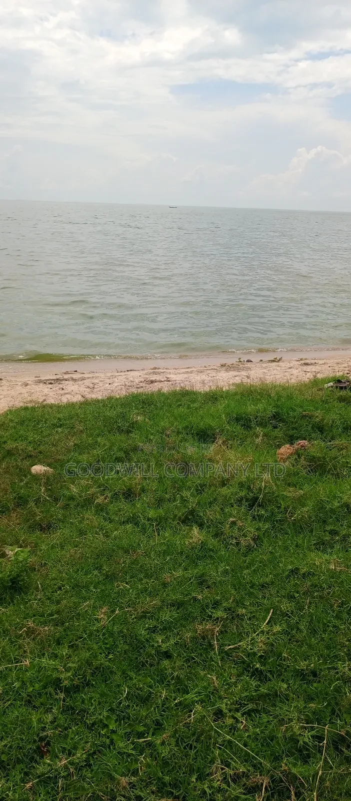 4 Acres Of Land In Garuga Touching Lake Victoria With Pure White Sand in Central Division