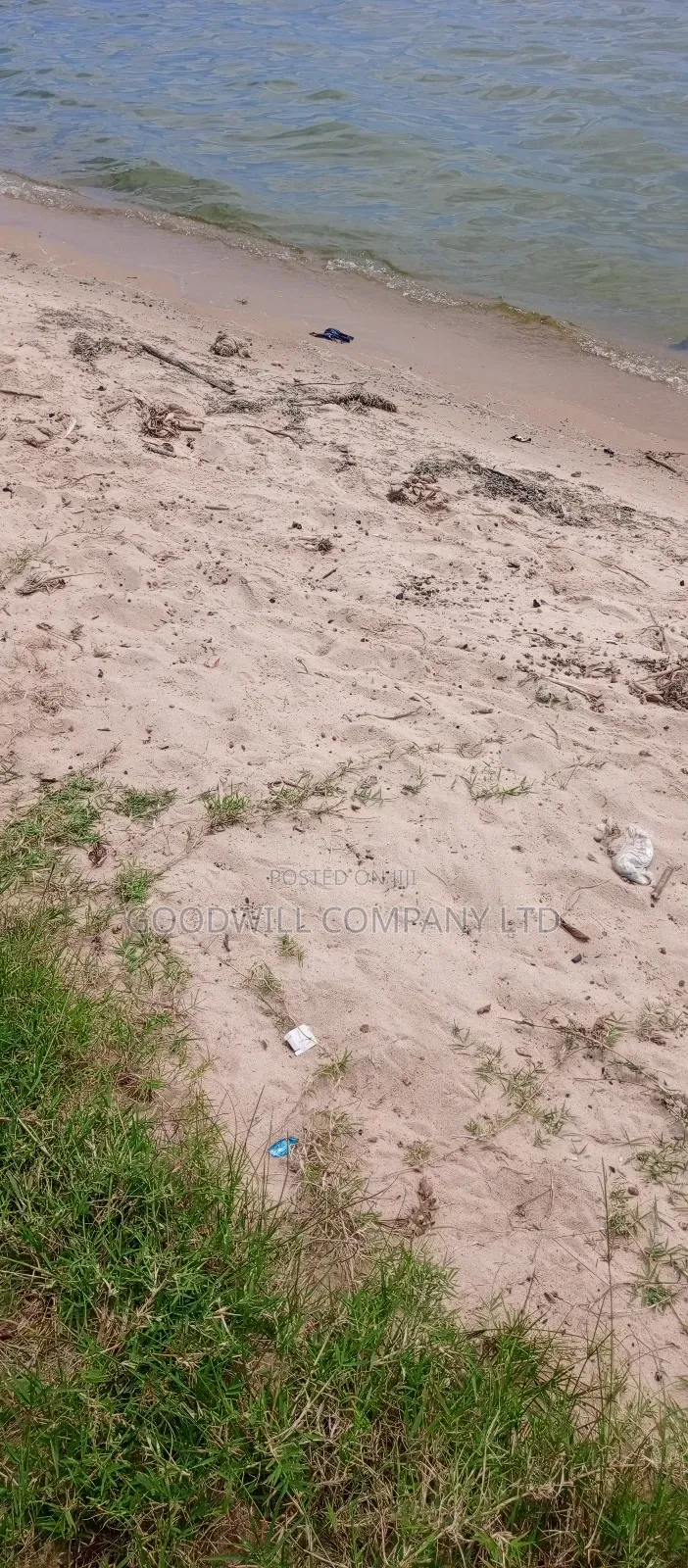 4 Acres Of Land In Garuga Touching Lake Victoria With Pure White Sand in Central Division