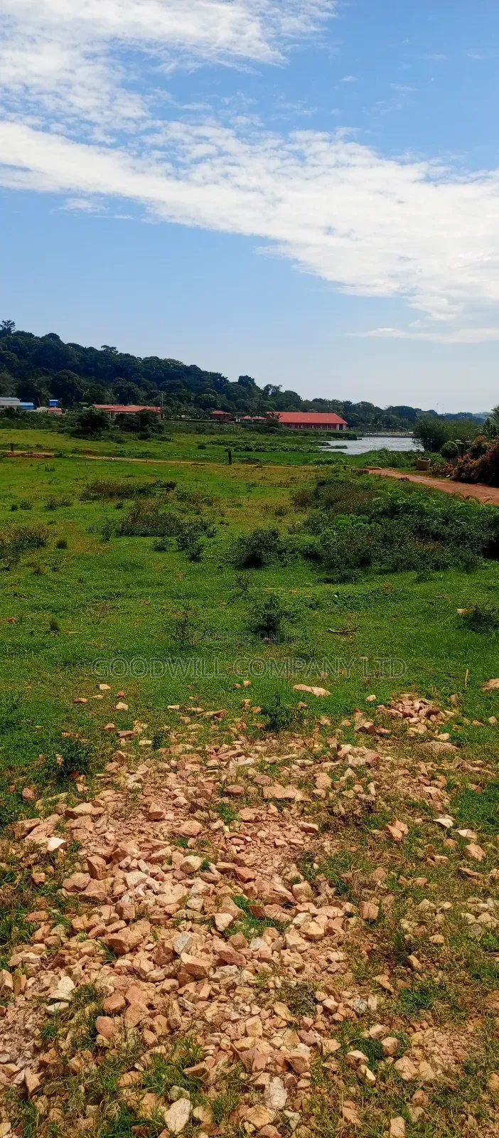 60 Decimals Of Land In Musinde Garuga Entebbe Rd W/T Lakevictoria View in Central Division