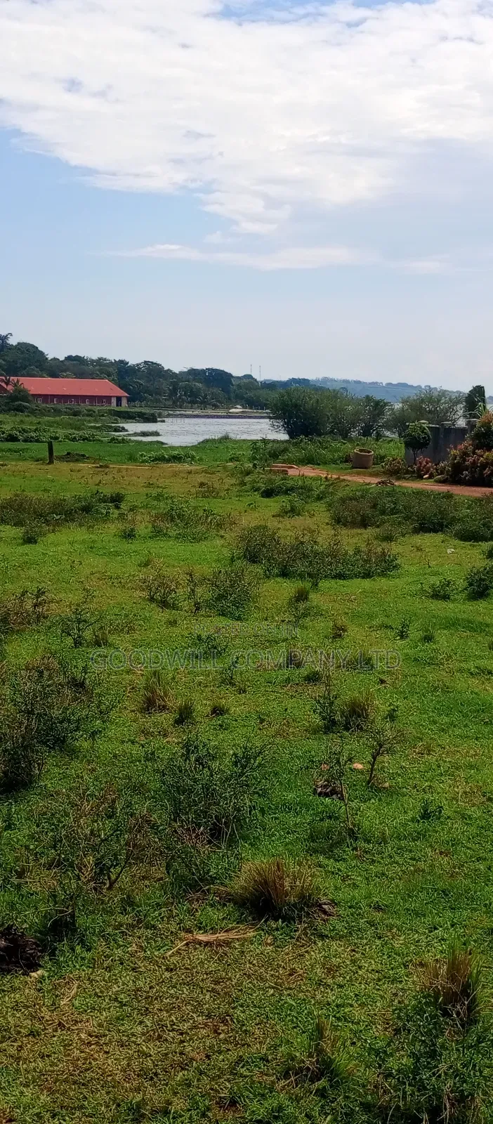 60 Decimals Of Land In Musinde Garuga Entebbe Rd W/T Lakevictoria View in Central Division