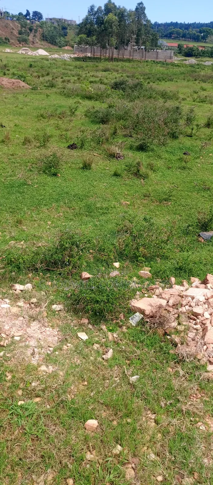 60 Decimals Of Land In Musinde Garuga Entebbe Rd W/T Lakevictoria View in Central Division