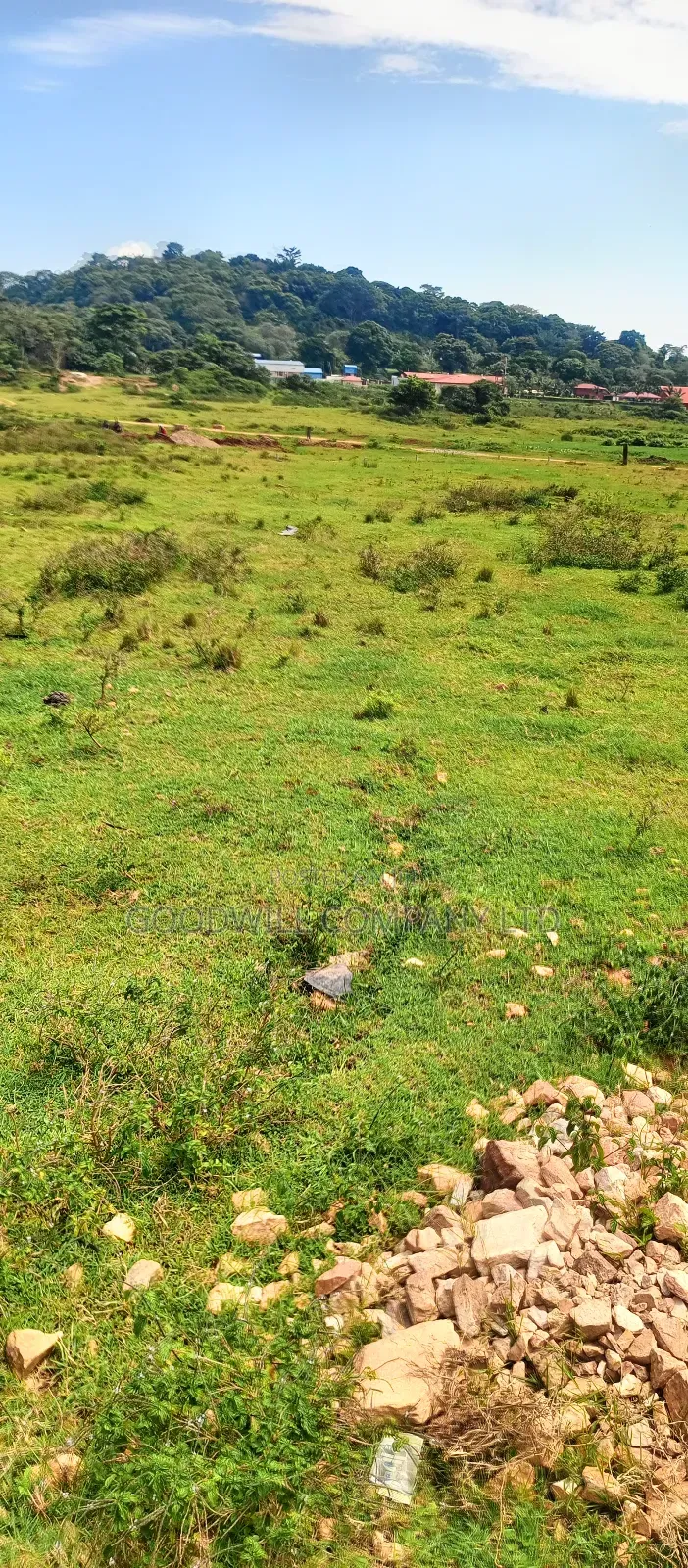 60 Decimals Of Land In Musinde Garuga Entebbe Rd W/T Lakevictoria View in Central Division