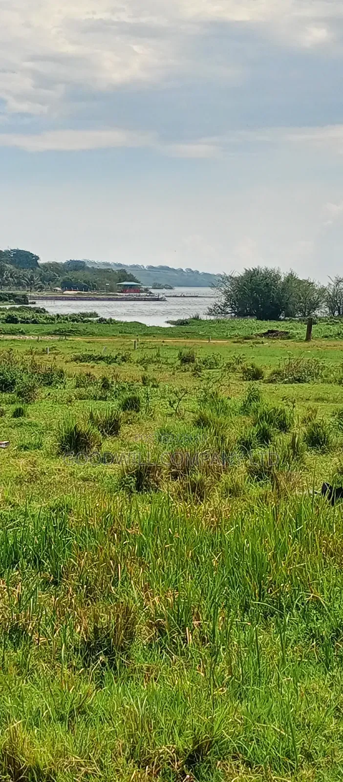 Lake View 27 Decimals Of Land In Garuga Musinde in Central Division
