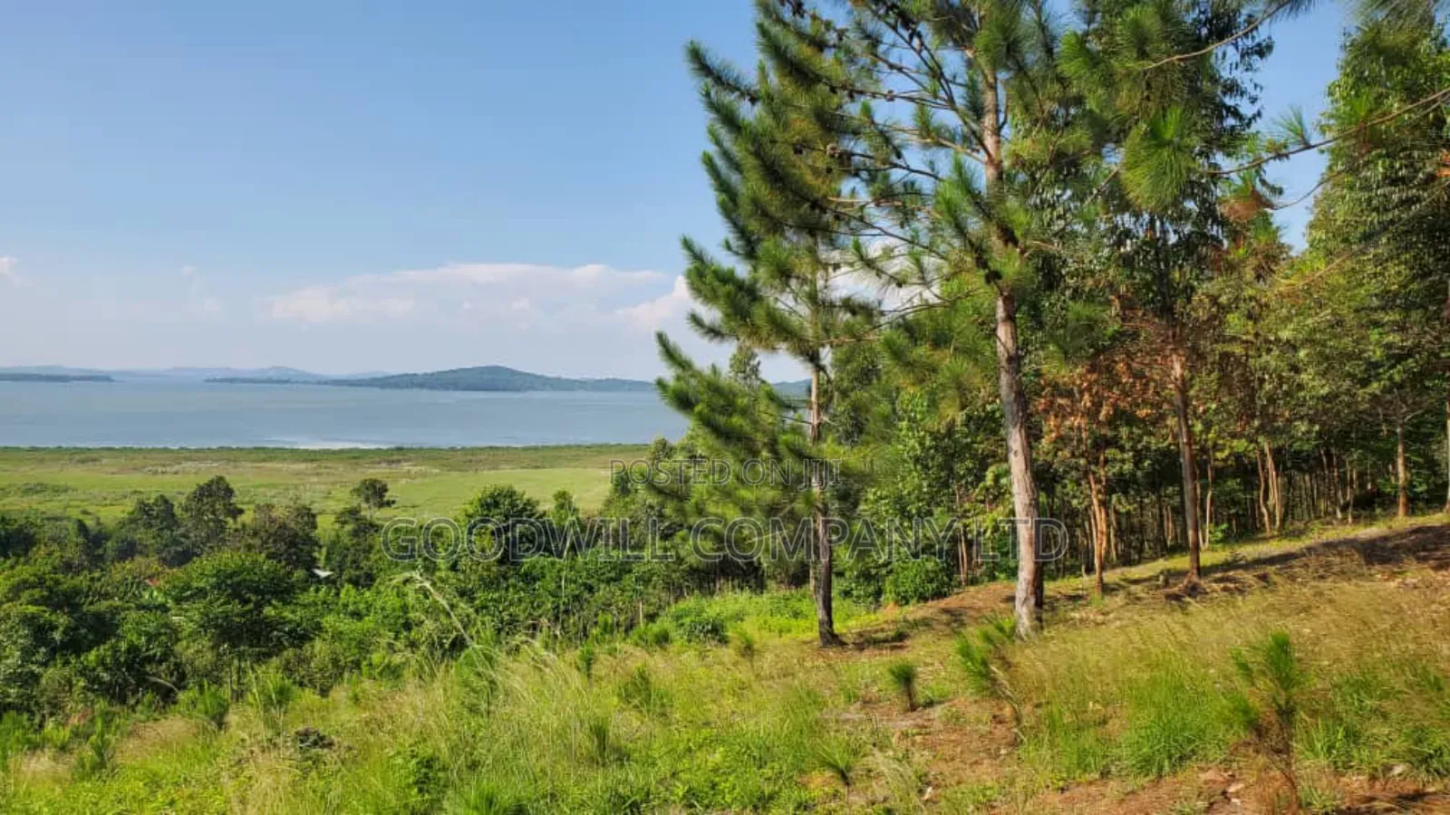 20 Acres of Land in Mpunge Nkokonjeru Mukono-Katosi Road in Central Division