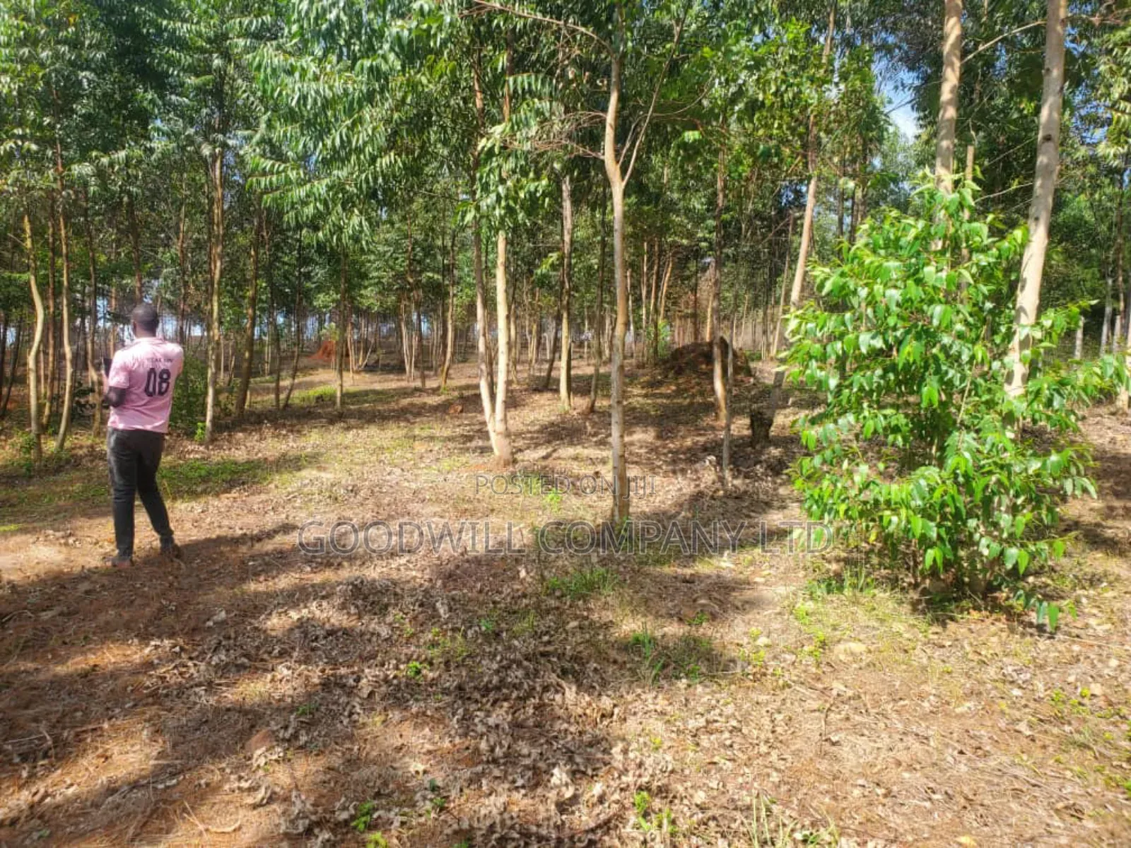 20 Acres of Land in Mpunge Nkokonjeru Mukono-Katosi Road in Central Division