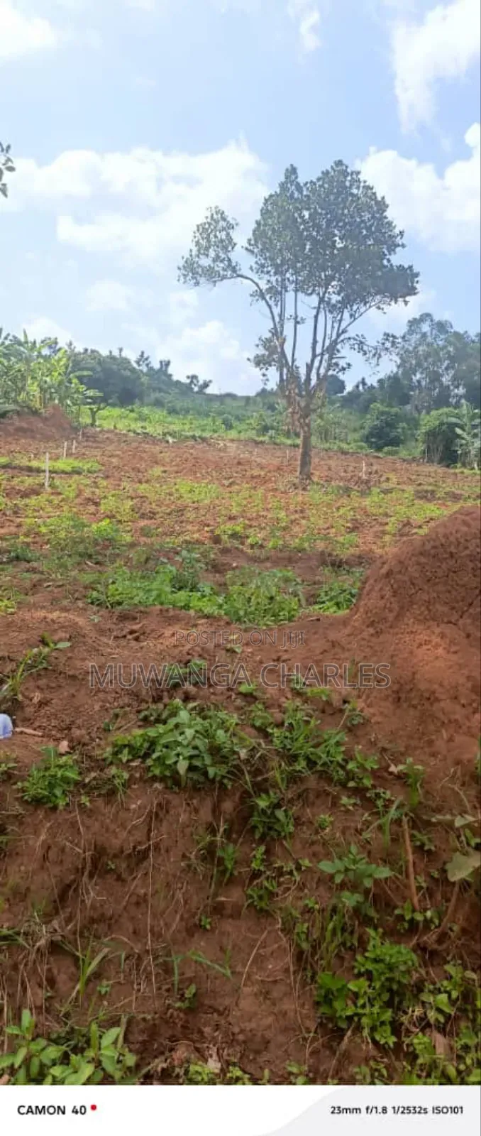 Plots on Sale in Kiwenda in Division A