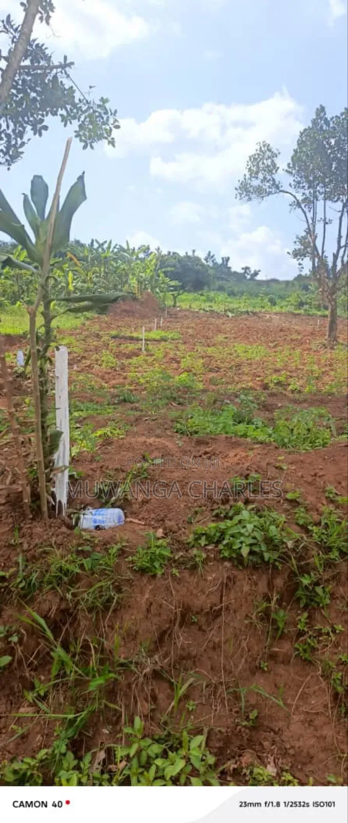 Plots on Sale in Kiwenda in Division A