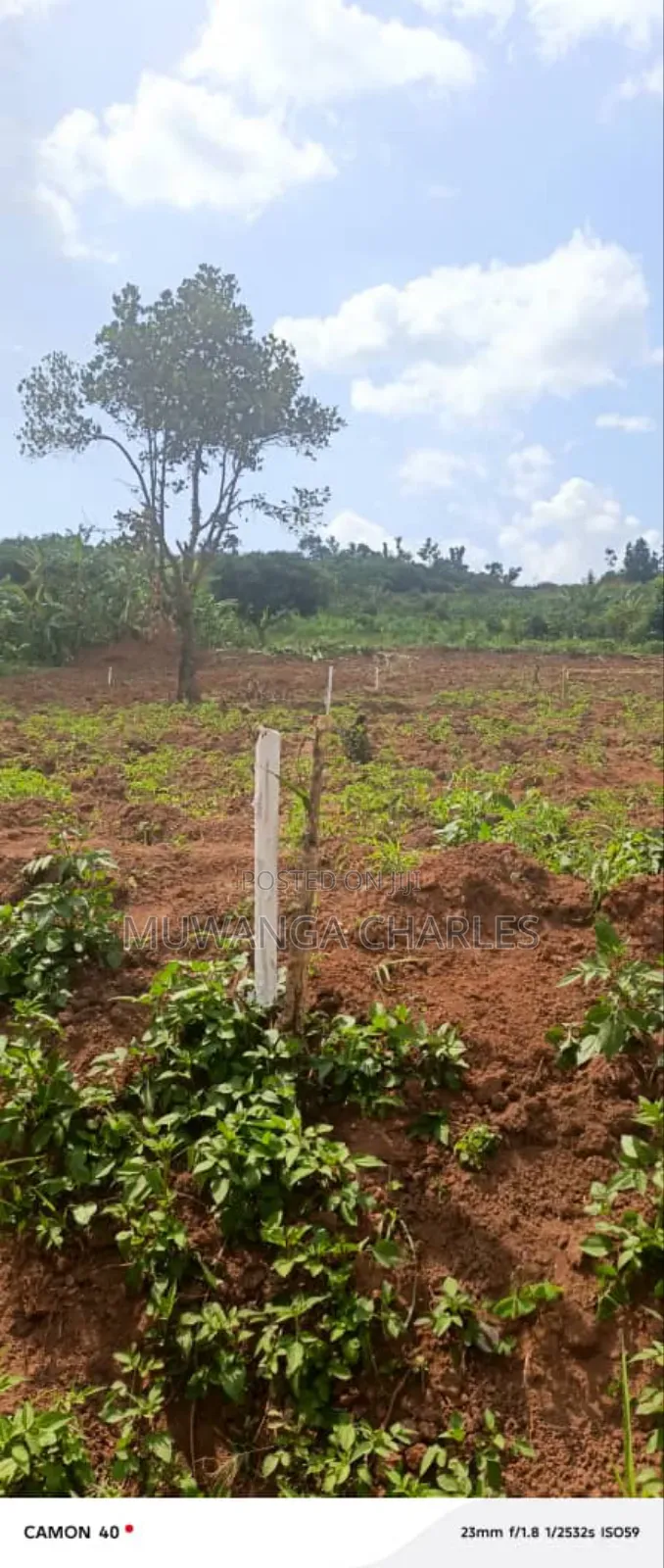 Plots on Sale in Kiwenda in Division A