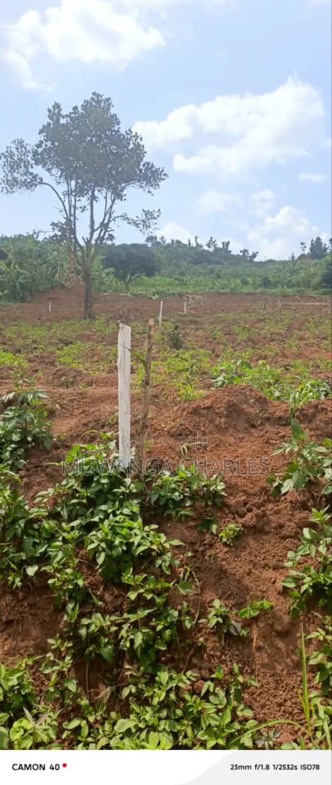 Plots on Sale in Kiwenda in Division A