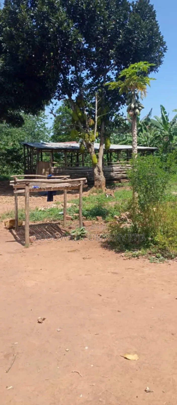 14 Acres of Land in Nakatete Kikyuusa in Central Division