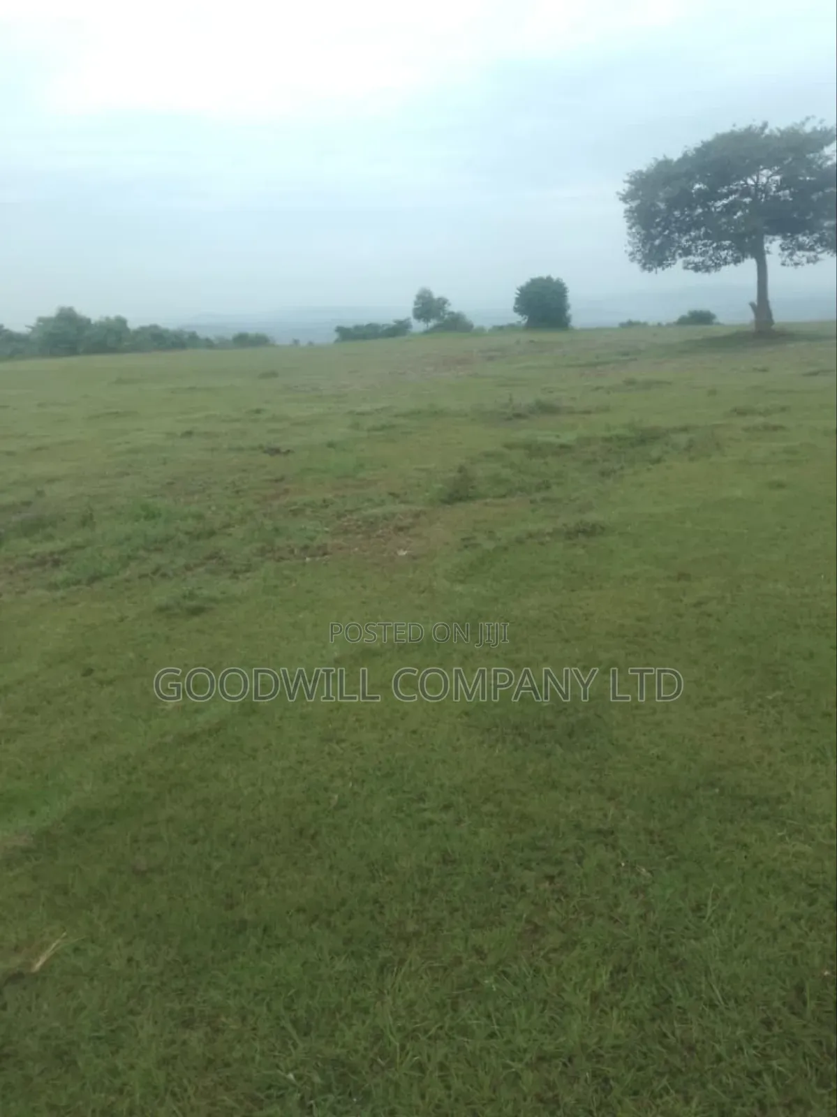 1 Acre of Land in Kigenda Nkokonjeru in Central Division