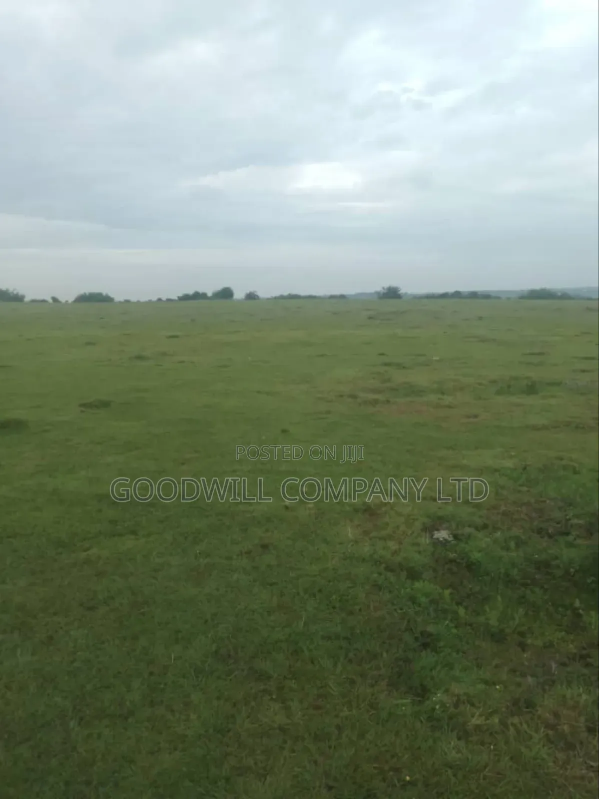 1 Acre of Land in Kigenda Nkokonjeru in Central Division