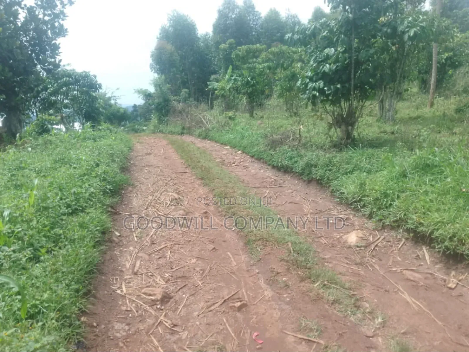 1 Acre of Land in Kigenda Nkokonjeru in Central Division