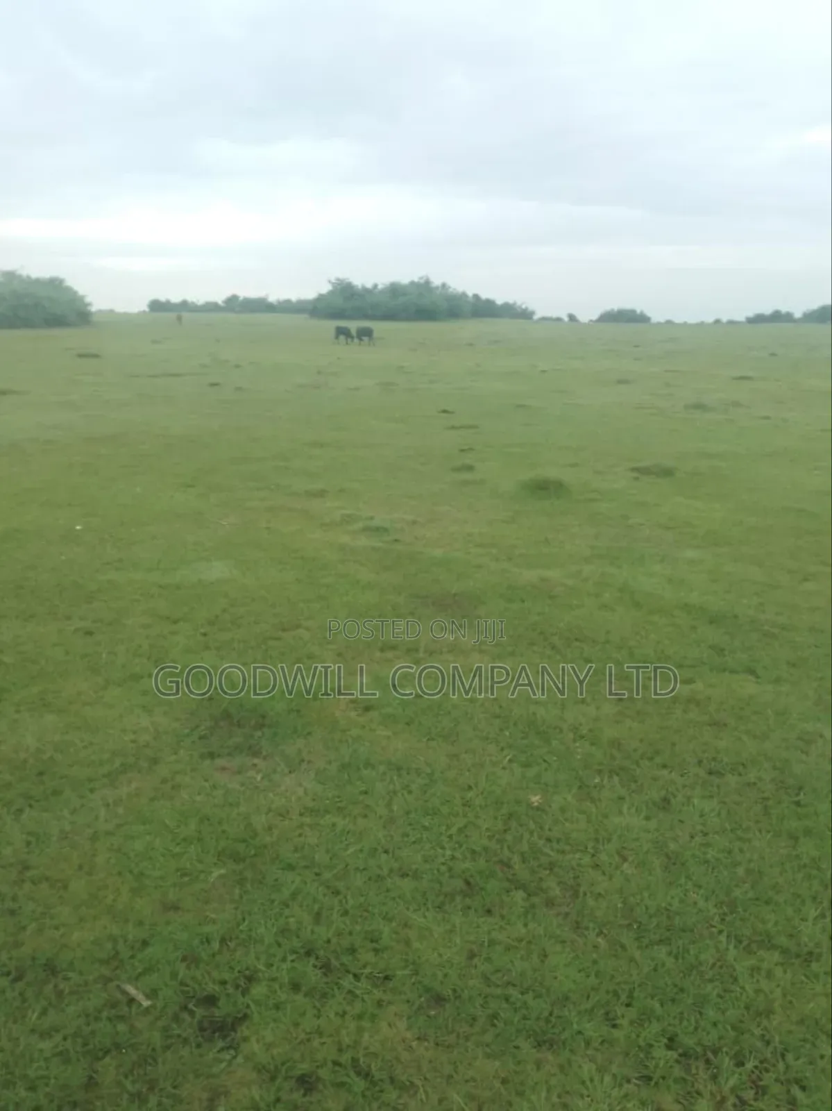 7 Acres Lugasa Nkokonjeru Along Nyenga Jinja Express Highway in Central Division