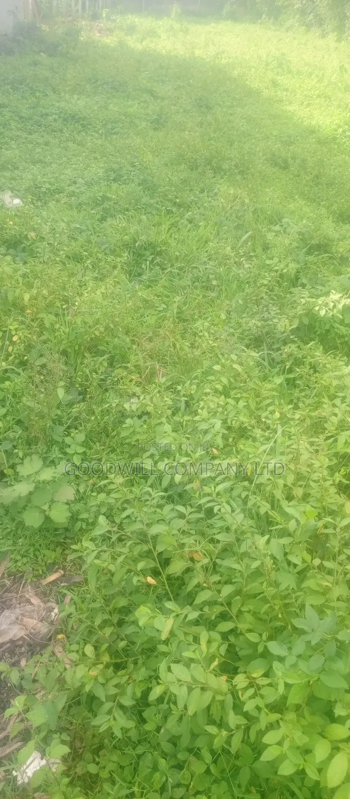 7 Acres Lugasa Nkokonjeru Along Nyenga Jinja Express Highway in Central Division
