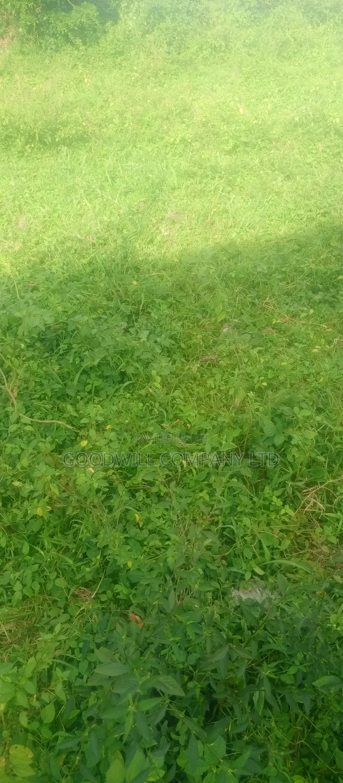 7 Acres Lugasa Nkokonjeru Along Nyenga Jinja Express Highway in Central Division