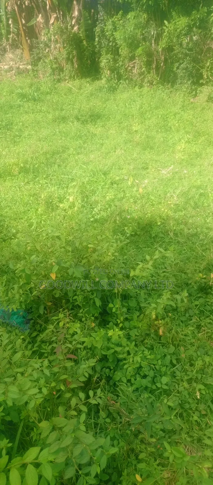 7 Acres Lugasa Nkokonjeru Along Nyenga Jinja Express Highway in Central Division