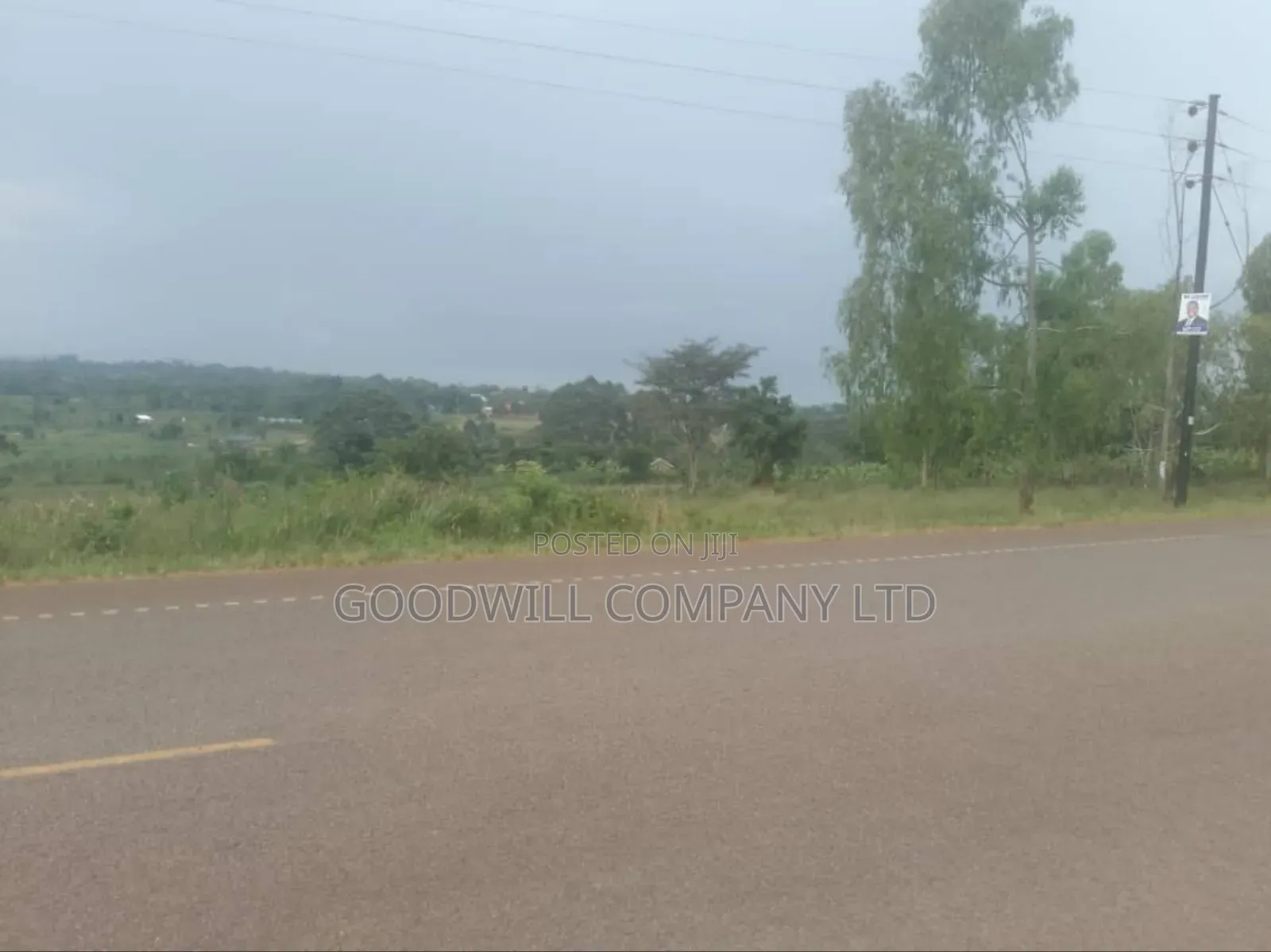62 Acres of Land in Kasenyi-Ngoma- Ntungamo District in Ntungamo