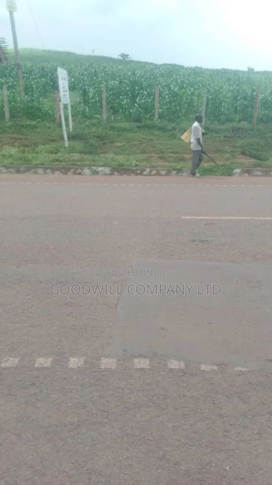 62 Acres of Land in Kasenyi-Ngoma- Ntungamo District in Ntungamo