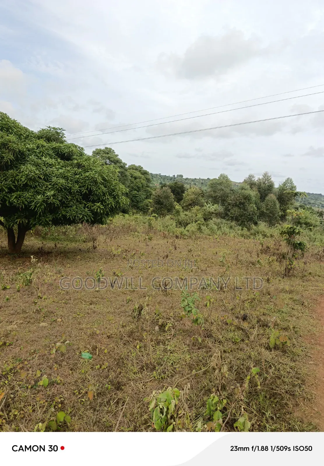 Masaka 5 Acres of Land Inkiyumba via Kako in Central Division