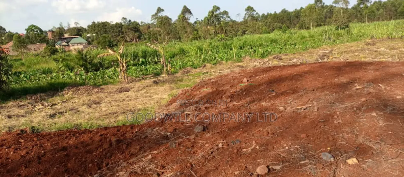 30 Decimals Commercial Land for Sale in Ssemuto in Central Division