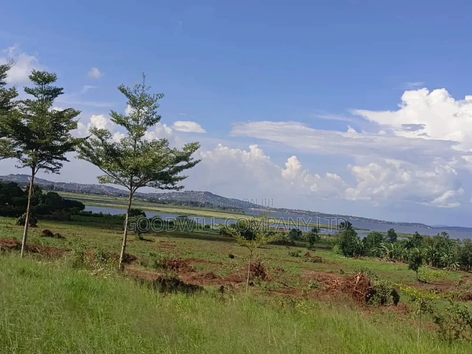 50 Acres of Land in Bwerenga Kawuku Entebbe Rd Touching on Lake Shore in Central Division