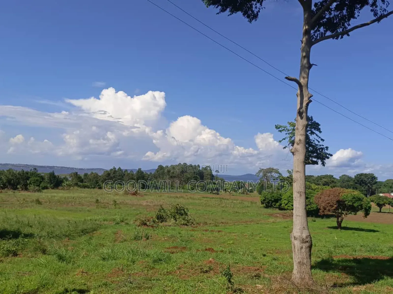 50 Acres of Land in Bwerenga Kawuku Entebbe Rd Touching on Lake Shore in Central Division