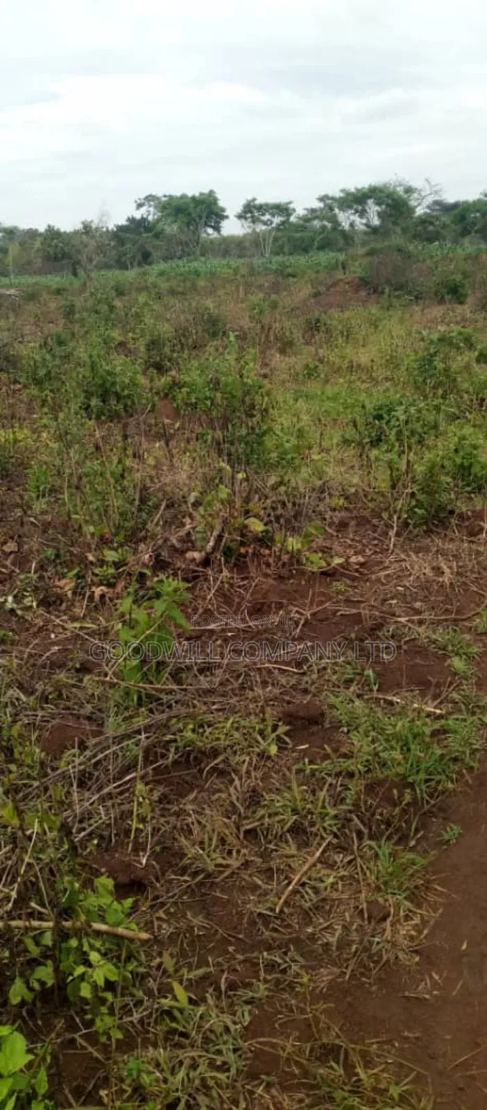 50 Acres of Land on Sale at Kamira After Kikyuusa W/T Private Mailo in Central Division
