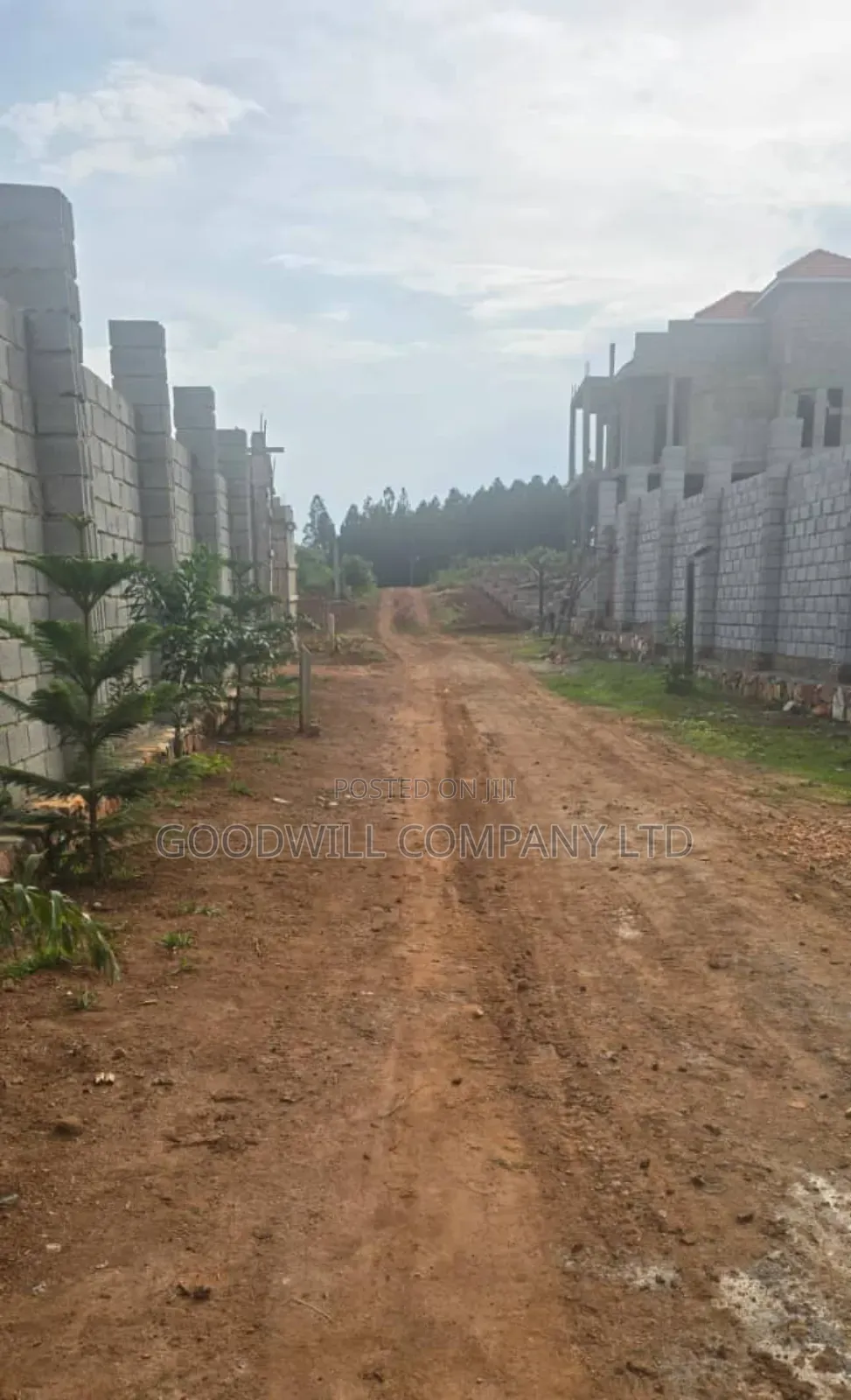Lakeview Entebbe Road Kawuku Bujiri 3 Plots for Sale (50×100ft) in Central Division