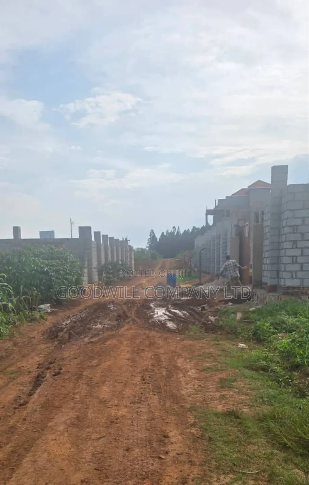 Lakeview Entebbe Road Kawuku Bujiri 3 Plots for Sale (50×100ft) in Central Division