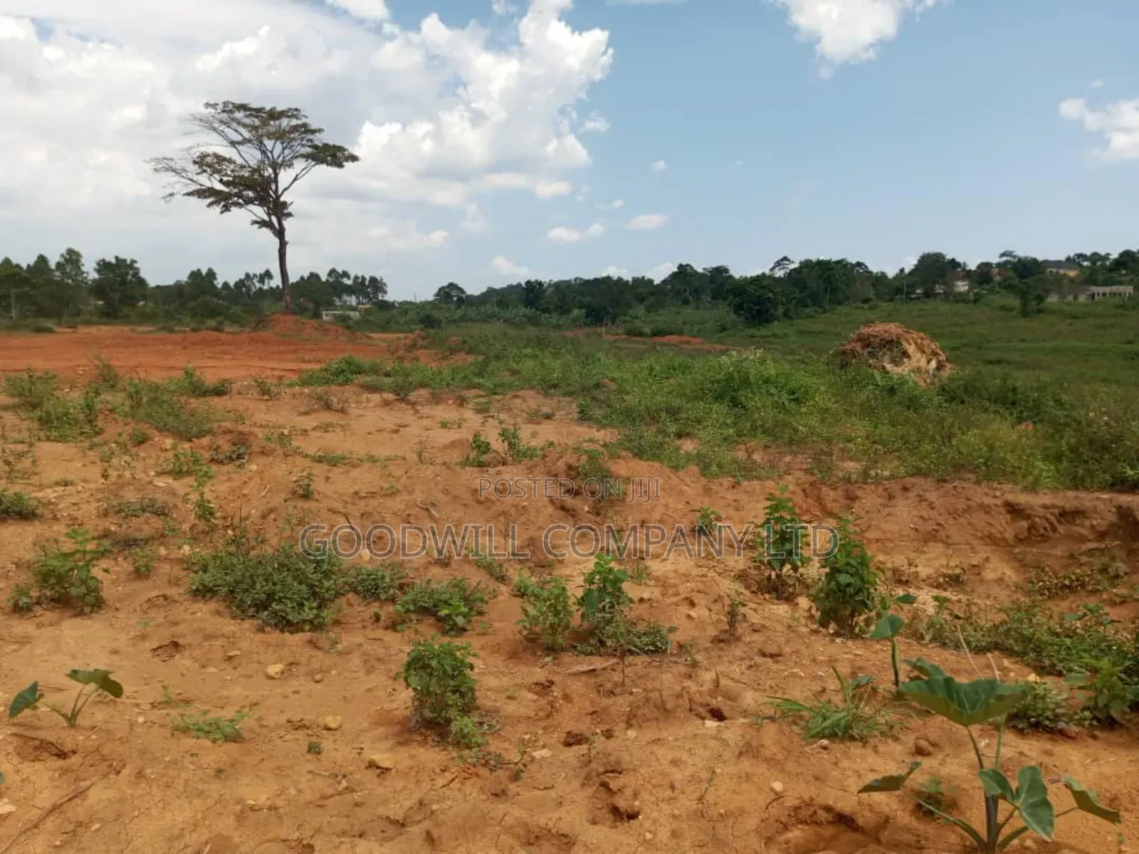 32 Acres of Land in Namanve Bweyogerere for Sale in Central Division