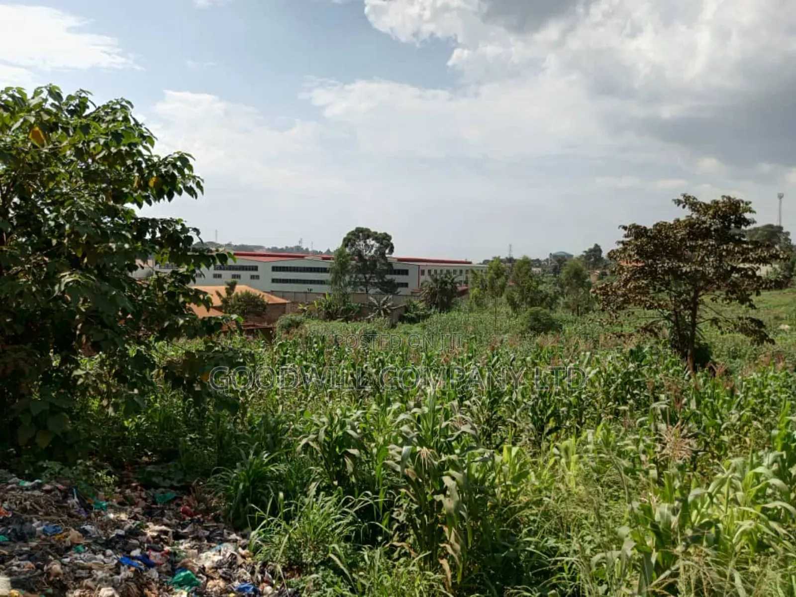5.2 Acres of Land in Namanve 200 Meters Off Tarmac Road in Central Division